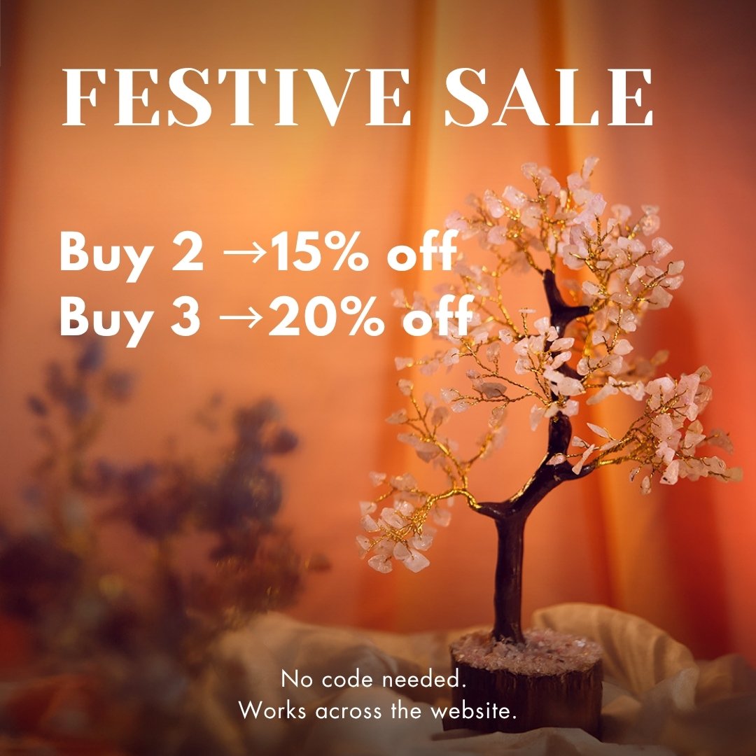 Travel Essentials Make up pouch Colour Pack A