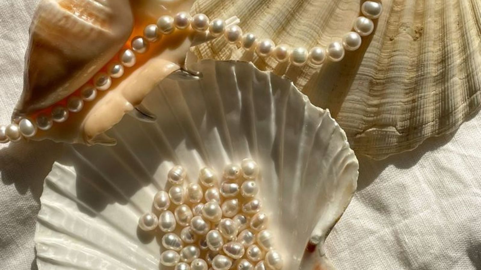 Discovering the Wide Range of Freshwater Pearl Types, Colors, and Jewelry Options